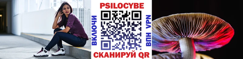 Псилоцибиновые грибы мицелий Карасук