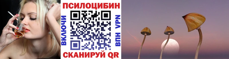 Псилоцибиновые грибы MAGIC MUSHROOMS  где купить наркотик  Карасук 